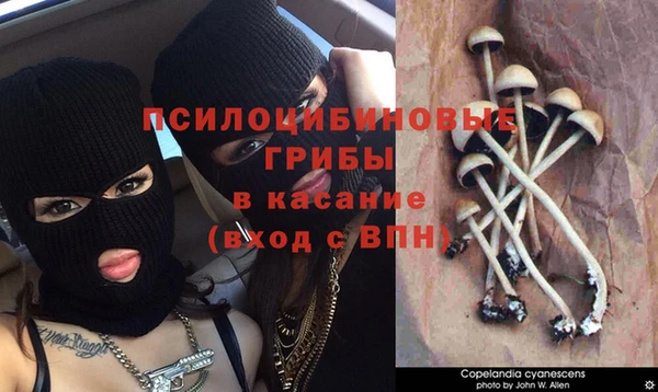 винт Алзамай
