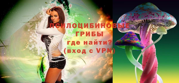винт Алзамай