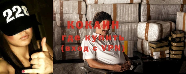 винт Алзамай