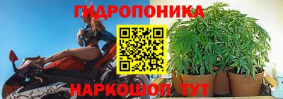 трава Краснокаменск