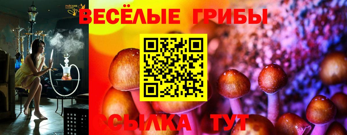 Псилоцибиновые грибы Psilocybine cubensis  Вход с VPN  Галлюциногенные грибы Magic Shrooms  где можно купить   Карпинск 
