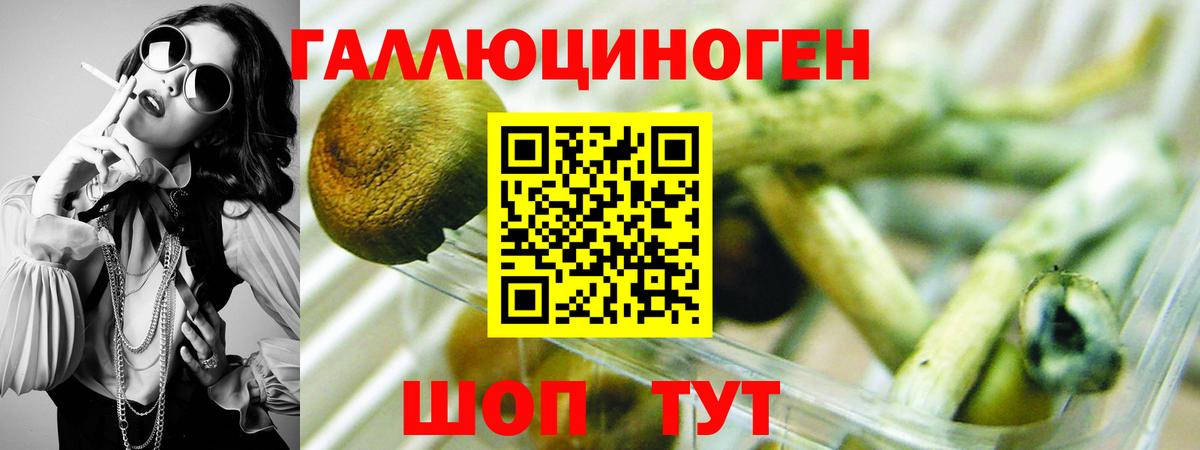 Псилоцибиновые грибы мицелий Карпинск